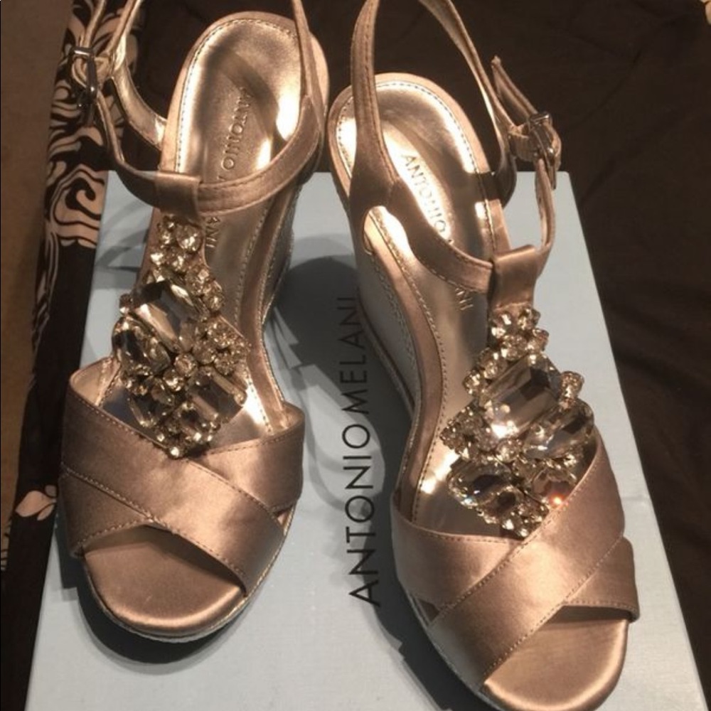 Silver wedges